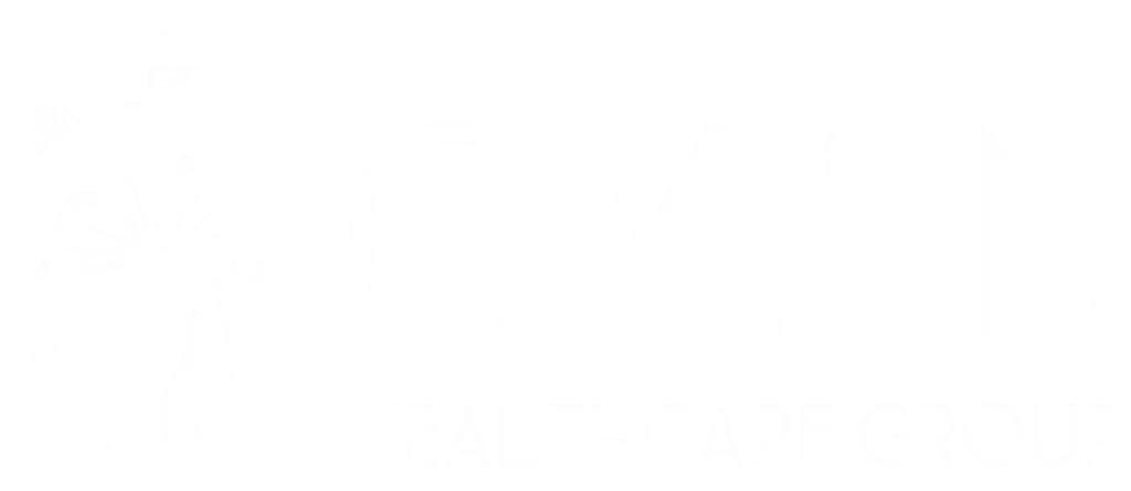 Cyan Health Care Group LOGO